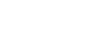 SNES FSU